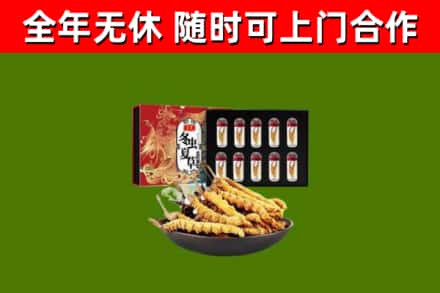 祁东回收冬虫夏草价格