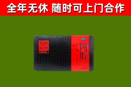 祁东回收阿胶