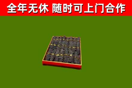 祁东回收海参